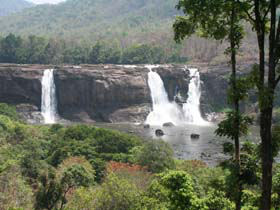 View of Athirapally Waterfall from Rainforest